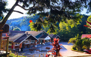 Harmonia Santo Antonio do Pinhal